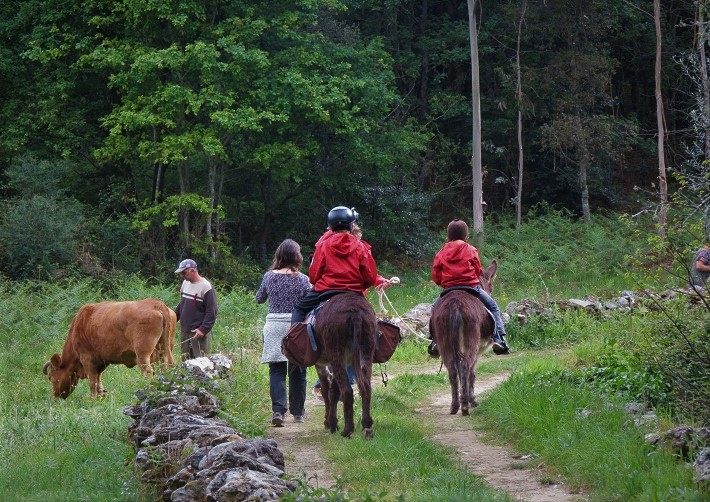 A walking holiday starting in Serra D´Arga moutains home of Iberian wolves and wild horses and coastal walks on the coastal route of Santiago walking along the portuguese atlantic coast