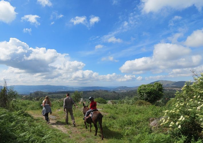 Donkey trekking Serra de Arga, Northern Portugal