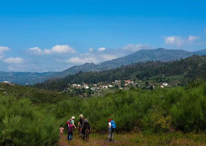 Donkey Trekking Peneda Gerês National Park, Portugal