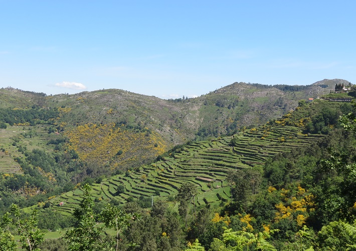 Hiking tour Sistelo: Little Portuguese Tibet