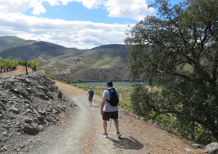 Walking tour Douro Valley & wine tasting