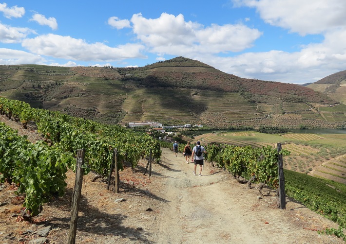 This is an easy hiking tour through the vineyards and Quintas of Douro Valley in Pinhão. We include lunch with wine, a wine tour and Port wine tasting.